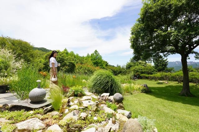 전남 해남군 계곡면에 자리한 문가든에서 한 방문객이 꽃과 나무가 어우러진 정원을 거닐며 자연의 정취를 즐기고 있다 전남 민간정원 제18호인 문가든은 흑석산의 수려한 산세와 다양한 수목·초화류가 조화를 이루는 해남의 대표적인 정원 명소다 사진해남군