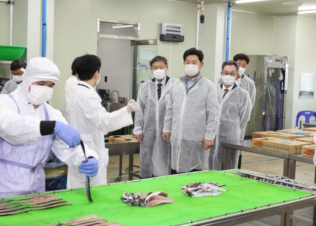 포항시가 본격적인 과메기 출하 시기를 앞두고 16일 남구 구룡포읍 과메기 가공시설을 방문해 생산 준비 상황과 원료 수급 여건을 점검했다 사진포항시