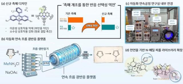 연구 개요도사진KAIST