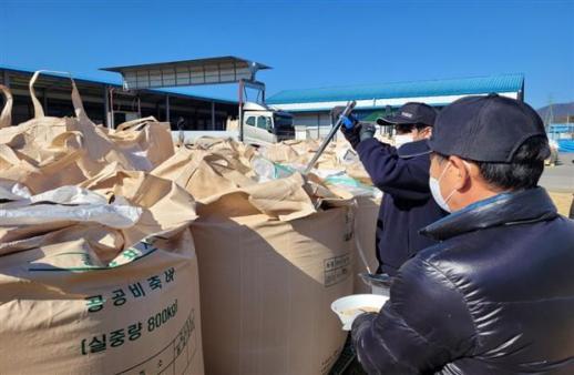 공공비축벼 40만t 매입검사…12월 말까지 전국 대상