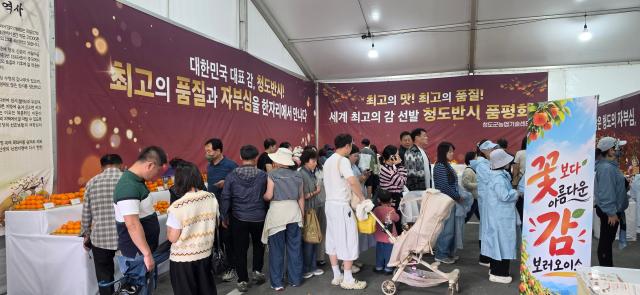 올해 청도반시축제 품평회장 모습 사진청도군