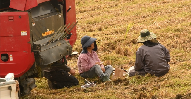 A family of three rice farmers takes a break to eat in a field after their harvesting machine broke down in Jinri-dong Icheon Gyeonggi Province on Oct 15 2026 AJP Joonha Yoo