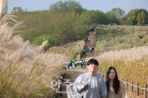 [포토] 데이트로 최고 서울억새축제