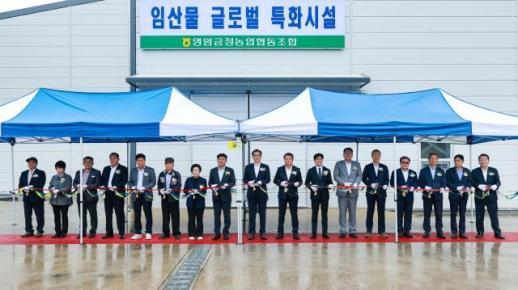 영암대봉감, 수확기 가격 하락 막는다…10억 투입 유통·수출 기반 구축