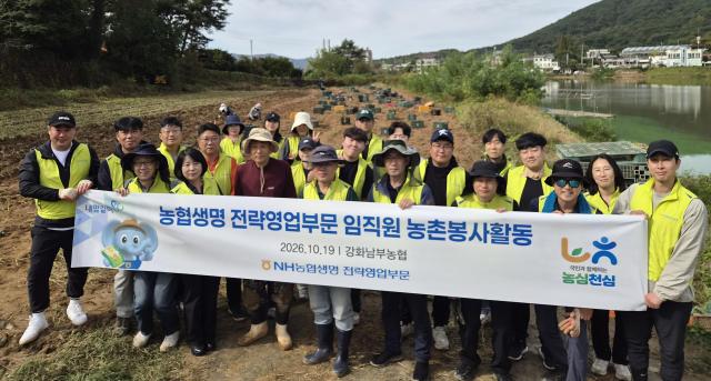 [보험업계 스냅샷] NH농협생명, 인천 강화 고구마 농가 찾아 농촌일손돕기 실시 外