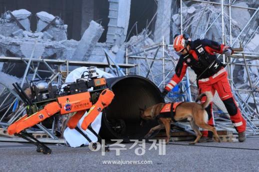 [포토] 인명 구하는 사족보행 대원들