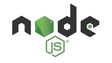 PHP 이어 Node.js도 뚫렸다…웹서버 넘어 공통 압축기술까지 점검해야