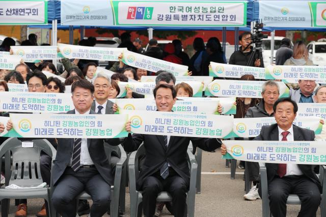 사진강원도