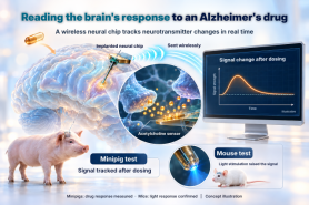Wireless brain chip tracks Alzheimers drug in real time