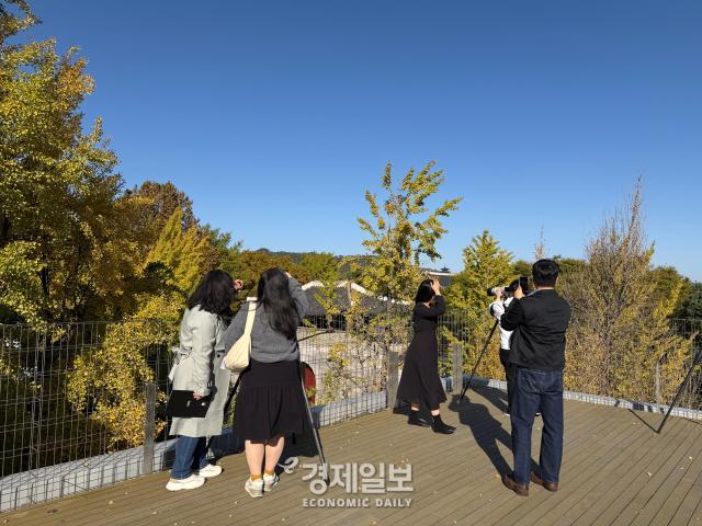 캐논 사진 한방당 체험형 팝업스토어 옥상에서 캐논 카메라를 체험 중인 사람들 모습 사진정보운 기자