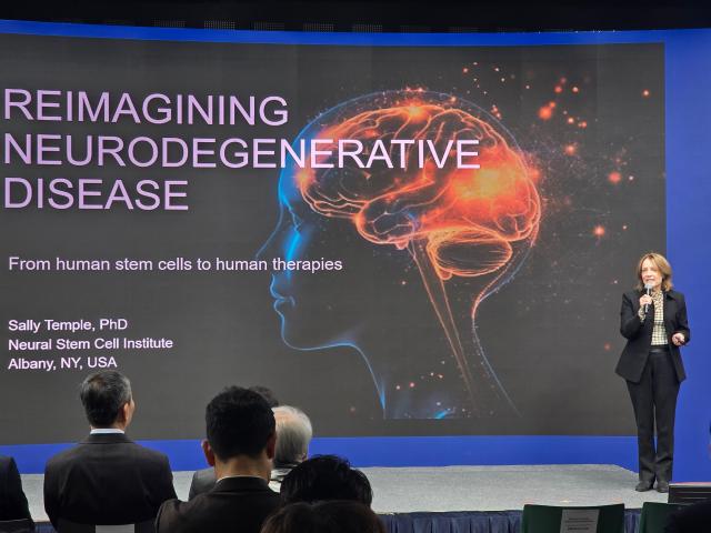 Stem cells could restore lost brain function, scientist says