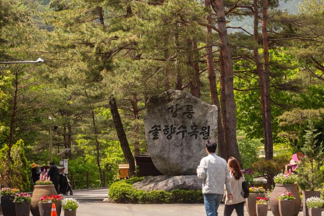 강릉시  11월 추천여행지 솔향수목원 선정 사진강릉시