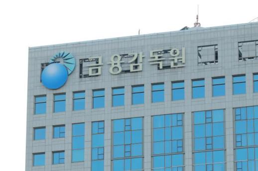 온투업·전금업서 해킹 사고 잇따라…금감원 추가 점검