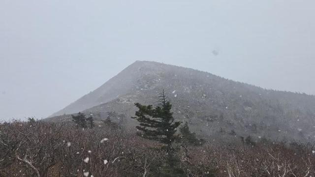 첫눈 내리는 설악산 사진설악산국립공원사무소 제공