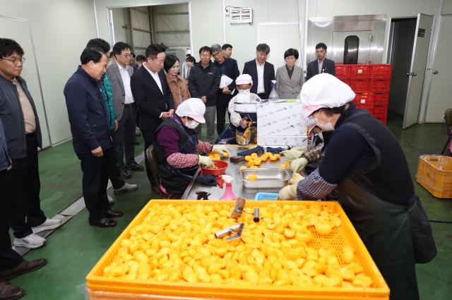 사진청도군