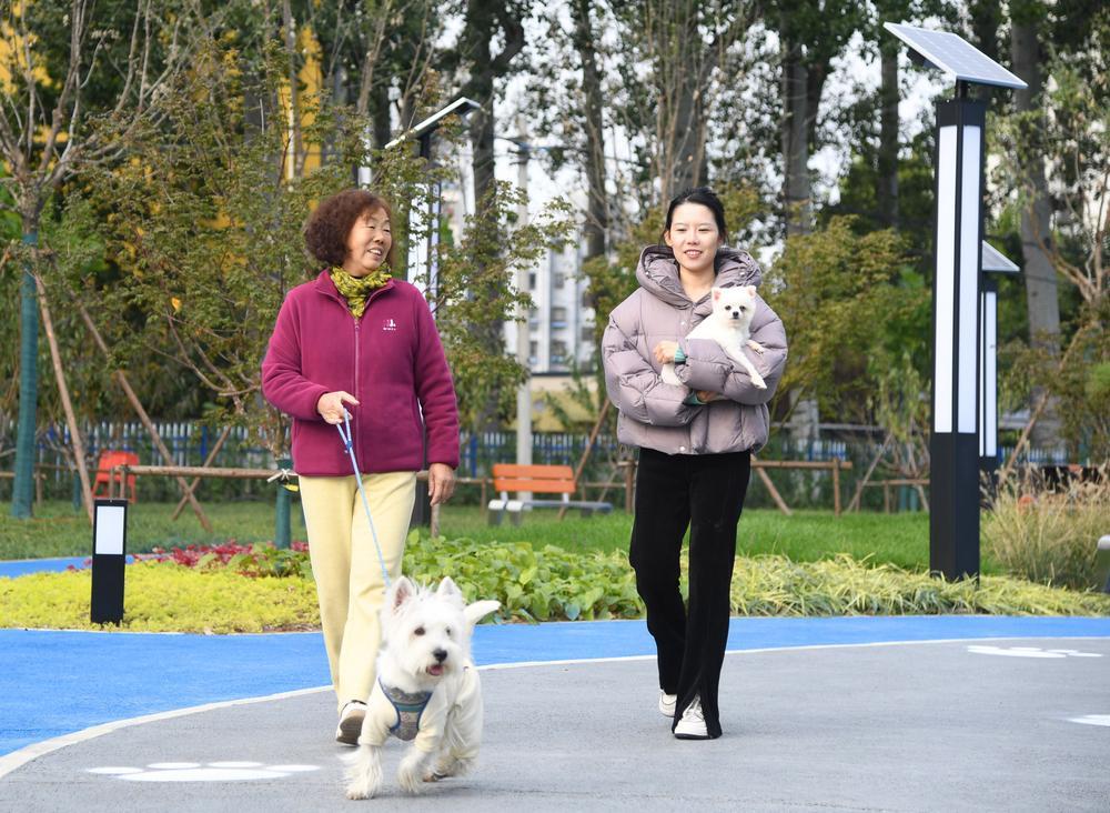[사진] 베이징, 반려동물 친화형 공원 개장