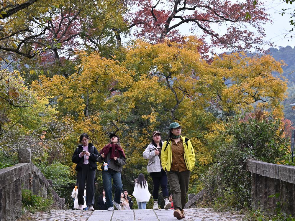 [사진] 붉은 단풍으로 단장한 마을 둘러보는 관광객