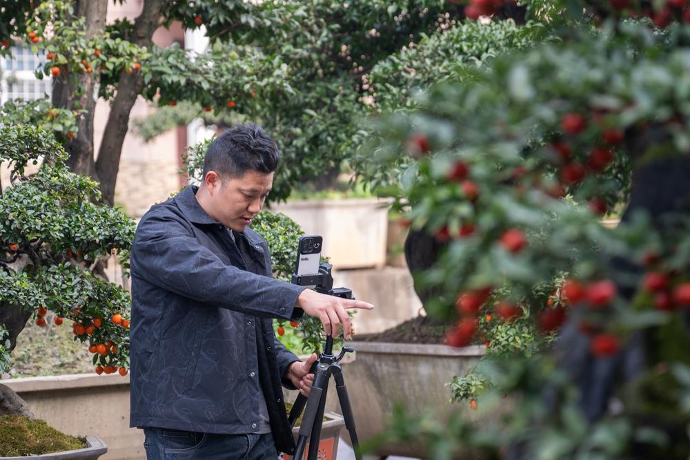 [사진] 분재도 라이브방송으로 판매~