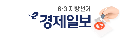 6.3지방선거