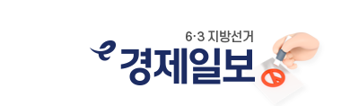 6.3지방선거
