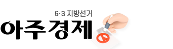 6.3 지방선거