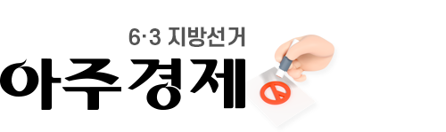 6.3 지방선거