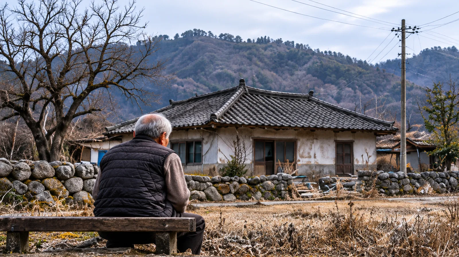 시골 빈집 앞 벤치에 홀로 앉은 노인의 뒷모습